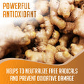 Xprs Nutra Ginger Powder - Premium Ground Ginger Root Powder with Potent Spicy Flavor - Ground Ginger Powder - Vegan Friendly Sustainably Grown Powdered Ginger (4 Ounce)
