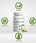 Deal Supplement Mullein Leaf Extract 20000mg 240 Veggie Capsules 4 Month Supply Natural Lung Detox Herbal Supplement Supports Respiratory & Immune Health Non-GMO Vegan