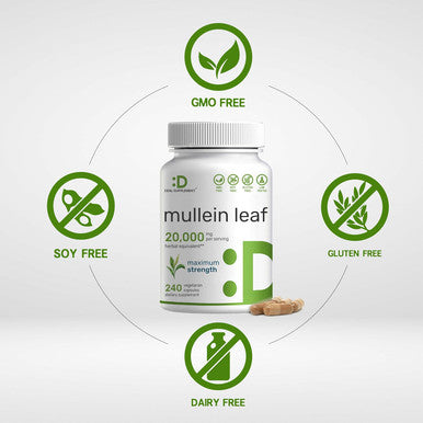 Deal Supplement Mullein Leaf Extract 20000mg 240 Veggie Capsules 4 Month Supply Natural Lung Detox Herbal Supplement Supports Respiratory & Immune Health Non-GMO Vegan