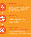 Garden of Life Dr Formulated Probiotics 30 Billion Cfu Pre + Pro + Postbiotics For Men And Women Digestive And Immune Support Potato Acacia Postbiotic Metabolites 30 Mini Vegetarian Capsules
