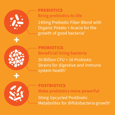 Garden of Life Dr Formulated Probiotics 30 Billion Cfu Pre + Pro + Postbiotics For Men And Women Digestive And Immune Support Potato Acacia Postbiotic Metabolites 30 Mini Vegetarian Capsules