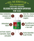 Kids Greens And Reds Superfood Powder. Best Tasting Organic Vegan Super Food Juice With 25+ Real Fruits And Vegetables. Gluten