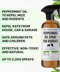 Kate Naturals Peppermint Oil Spray For Rodents Mouse Squirrels (16Oz Pet Safe). Rodent Repellent Outdoor For Car Engines Mice Rat Bat House Plants Pumpkins