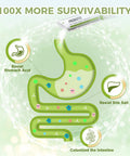 Nature Target Probiotics For Women Men Kids 60 Billion Cfus 13 Strains