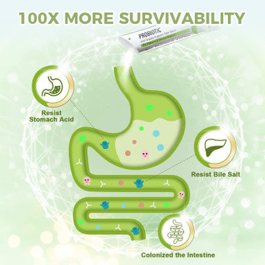 Nature Target Probiotics For Women Men Kids 60 Billion Cfus 13 Strains