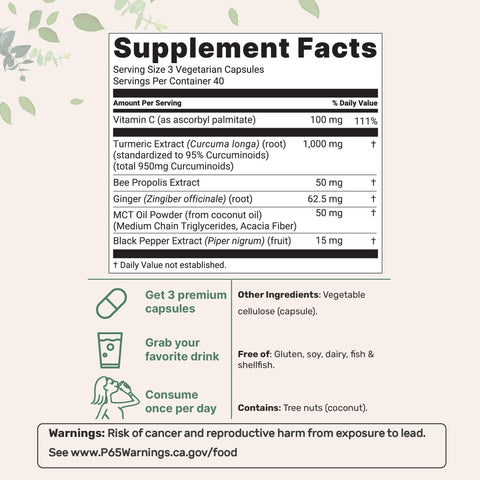 Micro Ingredients Pure Turmeric Curcumin Supplement 1000Mg 95 Curcuminoids With Black Pepper & Ginger High Absorption For Joint & Antioxidant Support Filler Free 120 Veggie Capsules