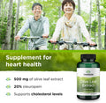 Swanson Olive Leaf Extract Capsules with 20% Oleuropein - Provides Immune Support Promotes Cardiovascular System Health and Supports Healthy Blood Pressure - (120 Capsules 500mg Each)