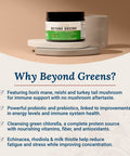 Beyond Greens Super Greens Powder Superfood - Delicious Greens Powder for Bloating - Matcha Greens Blend Superfood Powder w/ Chlorella, Echinacea, & Probiotics for Immune Support & Energy by LiveWell