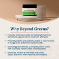 Beyond Greens Super Greens Powder Superfood - Delicious Greens Powder for Bloating - Matcha Greens Blend Superfood Powder w/ Chlorella, Echinacea, & Probiotics for Immune Support & Energy by LiveWell