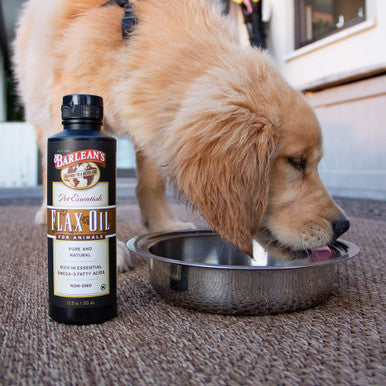 Barleans Fresh Flaxseed Oil for Animals with Rich Essential Omega3 Fatty Acids for Pet WellBeing and Health NonGMO 12 oz