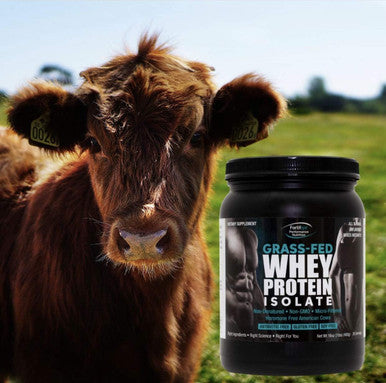 Fortifeye Vitamins Fortifeye Super Protein New Zealand Grass Fed Whey Protein Non Denatured, Dark Chocolate Fudge, 1 Pack