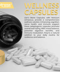 Lions Mane Supplement Capsules - 120 Count - Mushroom Supplement, Brain Supplements For Memory And Focus, Lion'S Mane Mushroom Capsules - Cognitive And Immune Support, Focus Supplement - Pack Of 2