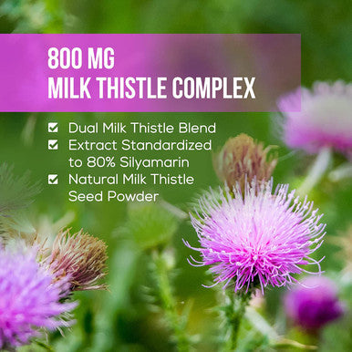 Milk Thistle Silymarin Concentrated Support for Liver Function, Liver Health - Double Strength Milk Thistle Supplement with Seed and Extract - Vegan - 120 Tablets