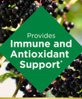 Natures Bounty Immune Support Elderberry Gummies 40 Gummies