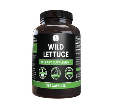 PURE ORIGINAL INGREDIENTS Wild Lettuce (365 Capsules) No Magnesium Or Rice Fillers, Always Pure, Lab Verified