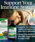Nature'S Answer Alcohol- Sambucus Original 4oz Liquid | Daily Immune Support | Packed with Antioxidants | Family Friendly | Gluten- Vegan | Single Count