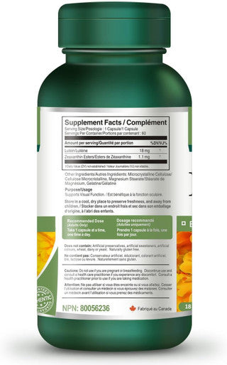 VORST Lutein 18 mg with Zeaxanthin Esters 60 Capsules | Paleo Friendly Eyesight Supplement for Eye Health, Immune System, & Brain Health | 1 Bottle