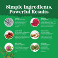 Natures Craft Milk Thistle Liver Support Supplement - Herbal Liver Supplement with Silymarin Milk Thistle Extract Dandelion Root Artichoke Extract Choline Bitartrate Berberine and Chicory Root for Liver Cleanse