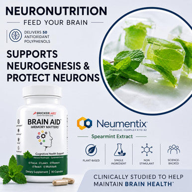 Bricker Labs Brain Aid Memory Matters