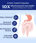 Akkermansia Probiotic, Boosts Glp-1, 300M Afu, Inulin Prebiotic Fiber - Gut Health Supplements For Men & Women (60 Capsules)