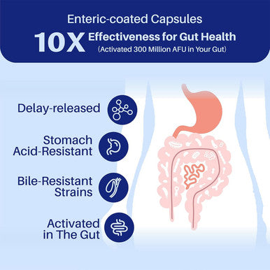 Akkermansia Probiotic, Boosts Glp-1, 300M Afu, Inulin Prebiotic Fiber - Gut Health Supplements For Men & Women (60 Capsules)