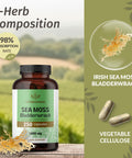 HERBAMAMA Sea Moss and Bladderwrack Capsules 1600mg Irish Sea Moss for Immune Support Vegan NonGMO Immunity Supplement for Overall Support