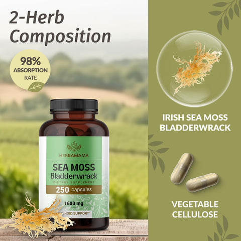 HERBAMAMA Sea Moss and Bladderwrack Capsules 1600mg Irish Sea Moss for Immune Support Vegan NonGMO Immunity Supplement for Overall Support