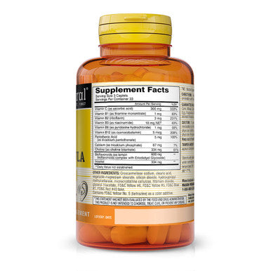 MASON Advanced Ear Health Formula - Supports Healthy Circulation in The Inner Ear, Ringing Ears Relief, 100 Caplets