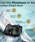 Weightworld n Shilajit Resin 50g | 2+ Months Supply | 800mg | High Levels of Fulvic Acid Humic Acid & Withanolides for Energy | with Ashwagandha Turmeric & Black Musli | Vegan Shilajit Resin n