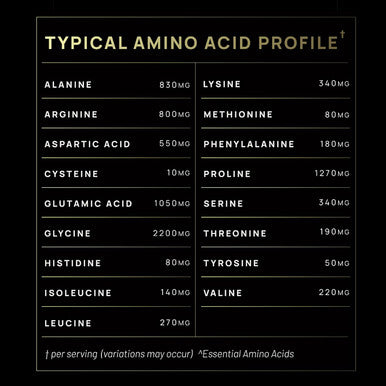 ELMNT Premium Chocolate Collagen for Women Weight Loss & Beauty w. Probiotics, ACV, KSM66, Hyaluronic Acid, Biotin & Patented Multi Collagen Peptides Protein Powder - Colageno Hidrolizado for Women