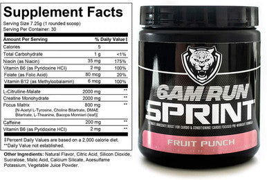 6AM RUN Sprint Pre Workout Powder for Instant Energy Boost for Cardio and Focus No Jitters High Energy Conditioning Formula All Natural Keto Vegan Fruit Punch Full Bottle