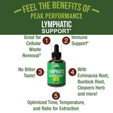Lymphatic Drainage Drops. Sugar Free 7-In-1 Lymph Detox And Cleanse Support. Vegan Supplement With Echinacea Root, Red Clover