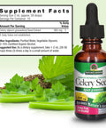 Nature'S Answer Celery Seed with Organic Alcohol 2000mg 1oz | Packed with Antioxidants | Promotes Joint Function | Urinary Tract Support | Single Count