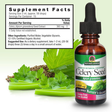 Nature'S Answer Celery Seed with Organic Alcohol 2000mg 1oz | Packed with Antioxidants | Promotes Joint Function | Urinary Tract Support | Single Count