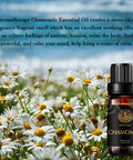 Aromatherapy Essential Oils, Chamomile Aromatherapy Essential Oils (0.33 oz - 10ml), 100% Pure Essential Oils Chamomile Scent for Diffuser, Humidifier, Massage, Aromatherapy, Skin & Hair Care