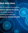 Igennus Daily Vitamin D3 2000Iu Clean Label 365 Small Tablets