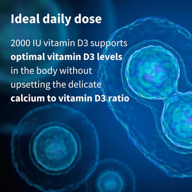 Igennus Daily Vitamin D3 2000Iu Clean Label 365 Small Tablets