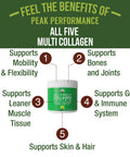 Peak Performance All 5 Multi-Collagen Protein Powder Peptides Multi-Collagen Contains All Types I, Ii, Iii,V, X. Keto, Paleo