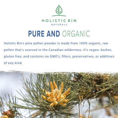 Organic Pine Pollen Powder by Holistic Bin | Pharmaceutical Grade, Wild Harvested, Golden Canadian Pine Pollen | Non GMO, No Additives | Pure Pollen Supplement Made from The Ponderosa Pine Tree, 20 g