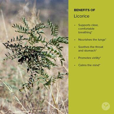 Banyan Botanicals Licorice Root Powder, Spice Jar - Usda Organic - Glycyrrhiza Glabra - Ayurvedic Herb For Lungs, Skin, & Stomach