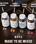Boss Bears Apple Cider Vinegar Gummies, Chewy Apple Flavor, Increases Energy, Boost Skin Health, Full Gram of ACV per Serving, Gluten Free, Supports Healthy Gut and Heart (30 Servings, Apple Flavor)
