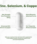Deal Supplement Zinc 50mg with Selenium 200mcg + Copper 240 Capsules 8 Month Supply 3 in 1 Mineral Formula