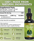 Go Nutrients Vitamin B12 - Fast Absorbing B12 Vitamins, All Natural, Vegan Friendly B12 Sublingual Supplement With 3000 Mcg Methy