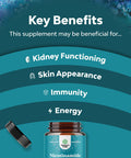 Vitamin B3 Nicotinamide 500mg Capsules - Mitochondrial Energy and Anti Aging Skin Supplement - AKA Vitamin B3 Niacin 500mg Flush Free and Niacinamide 500mg - Flush Free Niacin Supplement - 60 Count