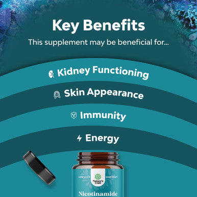 Vitamin B3 Nicotinamide 500mg Capsules - Mitochondrial Energy and Anti Aging Skin Supplement - AKA Vitamin B3 Niacin 500mg Flush Free and Niacinamide 500mg - Flush Free Niacin Supplement - 60 Count
