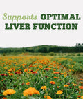 St. Francis Herb Farm Milk Thistle Tincture | Liver Supplement | Helps Support Liver Function | Liver Detox | Herbal Supplement | 50 mL