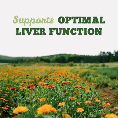 St. Francis Herb Farm Milk Thistle Tincture | Liver Supplement | Helps Support Liver Function | Liver Detox | Herbal Supplement | 50 mL