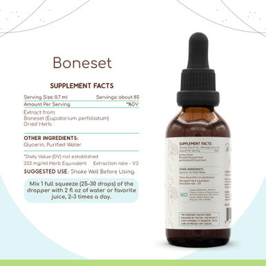 Boneset B60 Alcohol-Free Herbal Extract Tincture, Super-Concentrated Boneset (Eupatorium Perfoliatum) Dried Herb (2 Fl Oz)