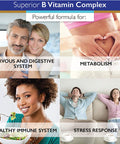 Superior Labs B Vitamin Complex Superior Absorption 100 NonGMO Safe from Additives Stearates Gluten and Other Allergens Regulate Digestive System and Support Metabolism 60 Vegetable Caps