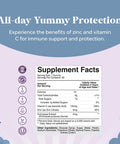Kids Immunity Support Gummies - Delicious Vitamin C With Zinc And Echinacea Immune Booster Gummies For Kids - Vegan Gluten And Gelatin Chewable Gummy Vitamin Supplement For Children